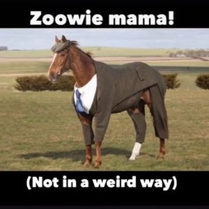 Meet your Posher, Emma